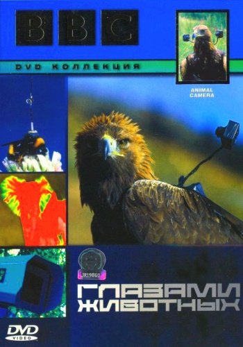BBC: Глазами животных / BBC: Animal Camera (Episode 1-3 of 3) (2004 ) DVDRip скачать торрент