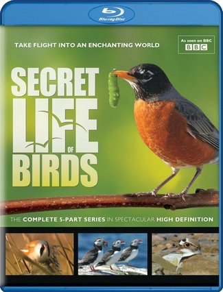 BBC. Тайная жизнь птиц / BBC. Secret Life of Birds (2010) BDRip скачать торрент