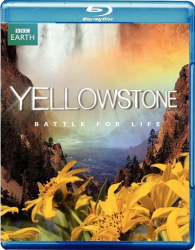 BBC. Йеллоустоун: Борьба за жизнь / Yellowstone: Battle For Life (2009) BDRip 1080i скачать торрент